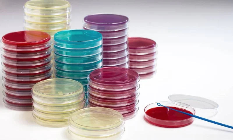 Image of 500g BUFFERED PEPTONE WATER
