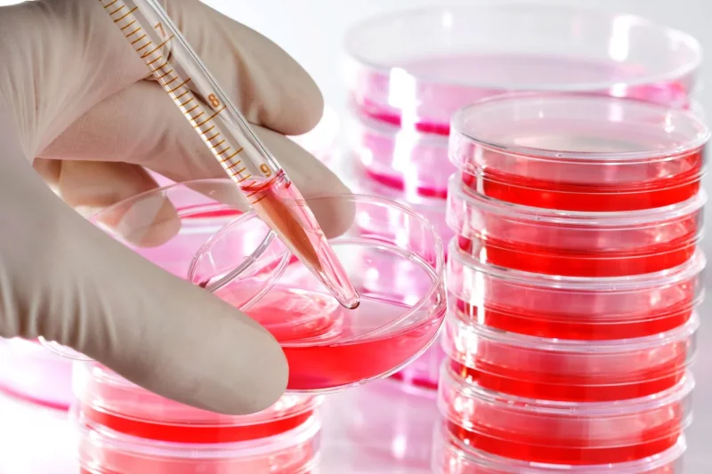 Image of Petri Dishes 65 x 16mm B/500