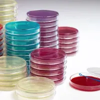 500g EMB AGAR